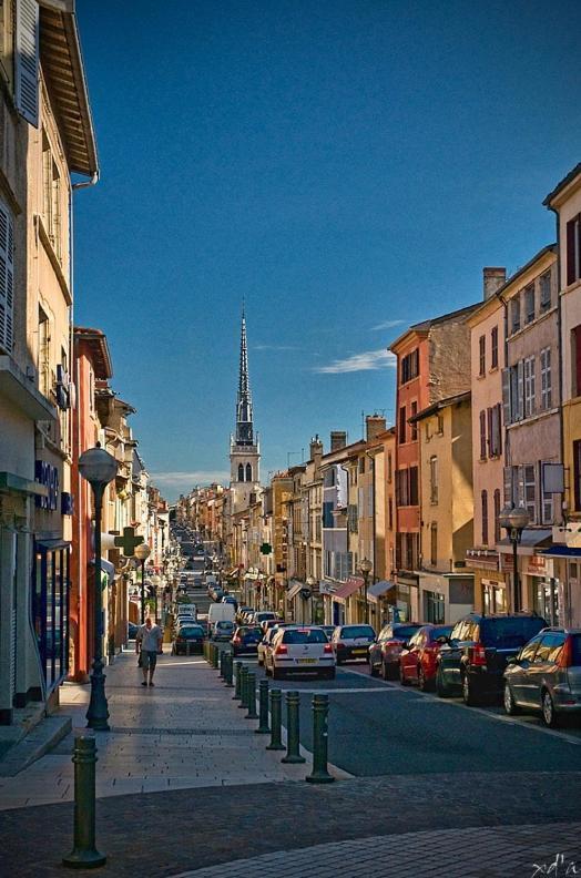 Villefranche-sur-Saône Le Cosy Shelby Proche Gare 150M 아파트 외부 사진